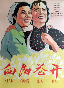 在线看片不卡